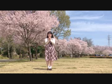 【まむ】 ハルイチ。 踊ってみた 【桜の下】