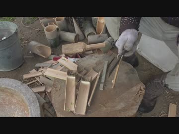 2019年3月12日：自然に生えてきたトマト苗の移植と竹割器の使い方【育苗・資材作り】