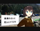 【実況車載動画】だいにせかいのスカイライン 031【バーチャルキャスト】
