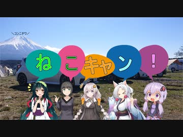 【ふもとっぱら】今日を明日をリズミカルに楽しく走る ねこキャン編