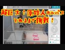 巨大カルパスを攻略！