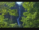 Beethoven - Piano Sonata No.17 in D minor, Op.31-2 movement 1