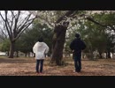 【MoE × もと】おちゃめ機能  踊ってみた