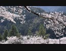 【ゆっくり車載】MT-25で走ろうin下北山村