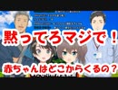 夏色まつり「赤ちゃんはどこからくるの?実践して!」←社築「黙ってろマジで！」←大空スバル「やめろぉ！ここはスバルチャンネルだぞ！」