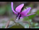誕生日に贈る言葉～4月12日生まれの冒険好きなあなたに－聴きものがたり
