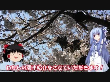 琴葉姉妹と行く釣行記録（車載編part4）