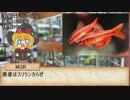 アクアカス★