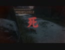 【プレイ動画】SEKIRO SHADOWS DIE TWICE Part23