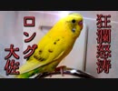 のっけ'sクッキング～อาหารอร่อยและง่าย編～