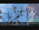 智絵里「シーパラダイスでお花見、ですっ」【シーサイドライン延伸記念】