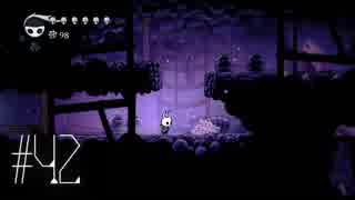 【第４２夜】眠れぬ夜のHOLLOW KNIGHT【実況】