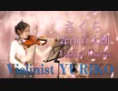 さくら/森山直太朗【バイオリン】【Violinist YURIKO】