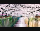 【東方ニコ楽祭・花見】東方萃夢想・砕月 - House mix【東方アレンジ】