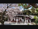 【生海月】なまくらじお【2019.4.13】