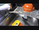 サザナミインコの水浴びを楽にできる方法を思いつたので試してみた
