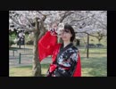 【桜】極楽浄土 踊ってみた【咲来 花】