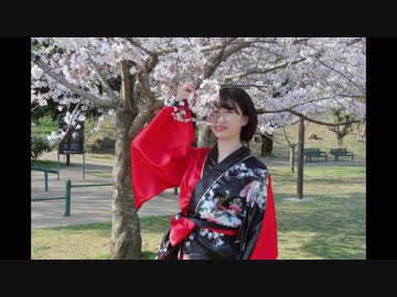 【桜】極楽浄土 踊ってみた【咲来 花】