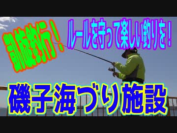 釣り動画ロマンを求めて 243釣目（磯子海づり施設）