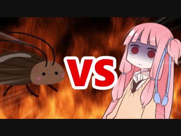 茜ちゃんVSゴキブリ