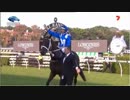2019年　クイーンエリザベスS　G1　ウインクス引退レース　クルーガー出走