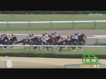 オジュウ・チョウさん　史上初の4連覇　第21回 中山グランドジャンプ