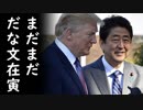 文在寅レッドカーペット持ち込み疑惑は本当か？安倍総理が米韓首脳会談を徹底解剖、トランプ大統領攻略のカギはコレだった！