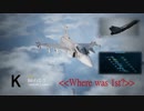 Ace Combat 7 Multiplayer35  バトルロイヤル  Gripen E + SASM