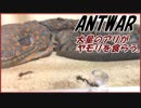 大量のアリ達が巨大ヤモリを食べる！
