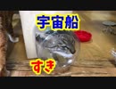 空き箱で猫のおもちゃをDIY！宇宙船（？）作ってみた