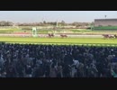 中山グランドジャンプ 2019年4月13日