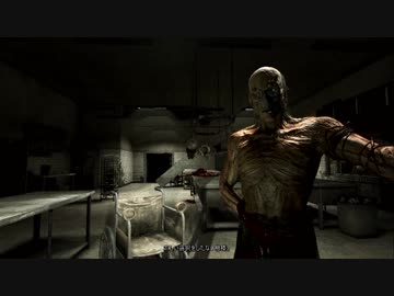 【Outlast:;((ɔ°ө°c));:】狂った病院で生きのびる術を学ぶぴよ！Part9