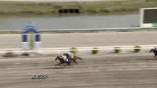 初騎乗初勝利！多田羅誠也（たたらせいや）騎手(2019年4月13日高知競馬2R)