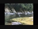 【バイノーラル】清流の音で癒されよう！【環境音のみ】