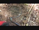 （山歩き回）（ゆかマキ解説）変態忍者の、狩猟＆有害鳥獣駆除従事活動記・その６９
