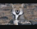 けものフレンズ２に宿る呪いについて考察してみた。