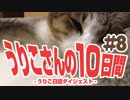 うりこさんの10日間 - 2019#8