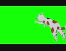 猫GB