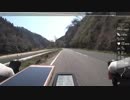 奈良県　奈良名張線   お花見ライド