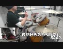 【叩いてみた】 君が好きだと叫びたい BAAD　ドラム