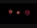 2019.4.13 （沖縄）琉球海炎祭　meijiパート