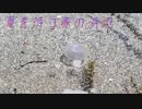 【東方ニコ楽祭・花見】夏を待つ春の浜辺【東方自作アレンジ】