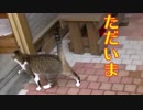 木に登ったトゥリヤ