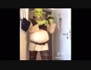 ホモと見る海外のTik Tok meme.mp4