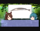 【ゆっくり解説】ゆっくりわかさぎ姫が教える魚　#9匹目　~針魚~