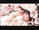 【Ns*】ハルイチ。【朱猫 踊ってみた】