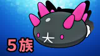 人気の ポケモンｕｓｍ対戦リンク 動画 4 155本 13 ニコニコ動画