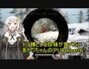 ドン勝という珍味が食べたいあかりちゃんの[PUBG]part6