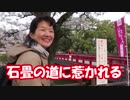 【のまさんち】 旧東海道 箱根越えウォーキング編