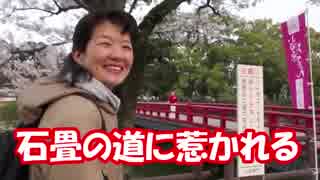 【のまさんち】 旧東海道 箱根越えウォーキング編
